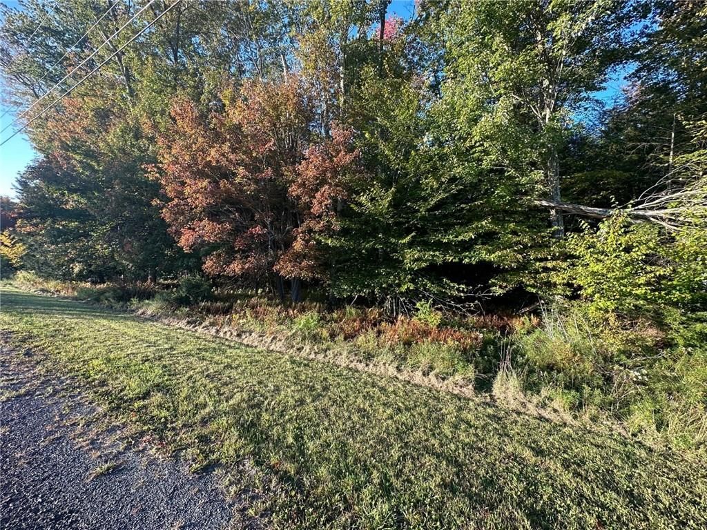 Ulster Heights Road, Fallsburg, NY 12733
