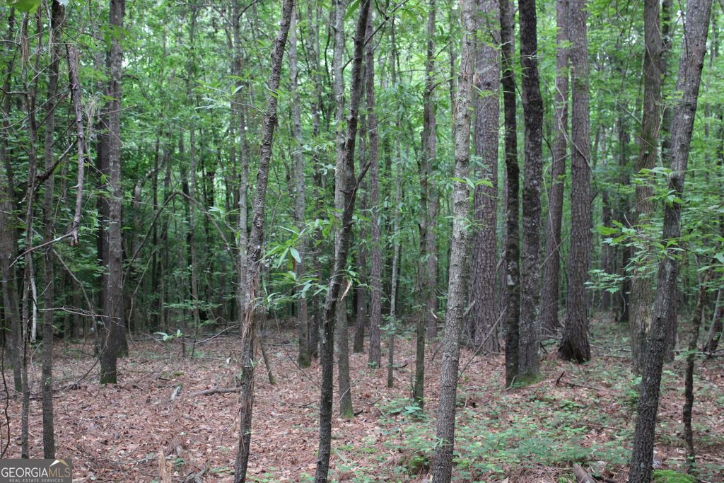 3 Garnett Ward Road, Hull, GA 30646 — photo 4