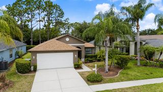 1335 HICKORY MOSS PLACE, Trinity, FL 34655