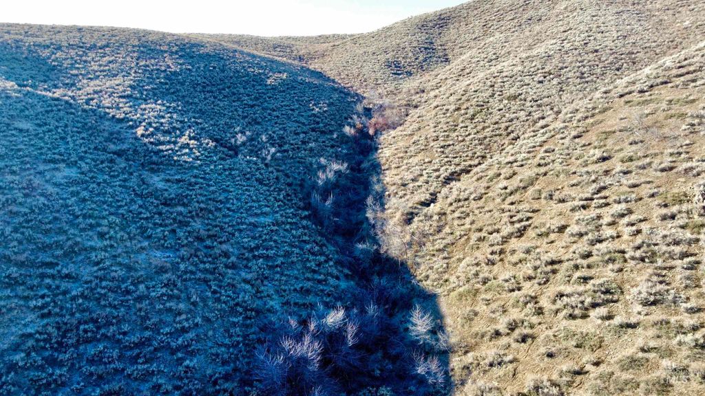 TBD Lees Gulch Rd, Bellevue, ID 83313 photo 12