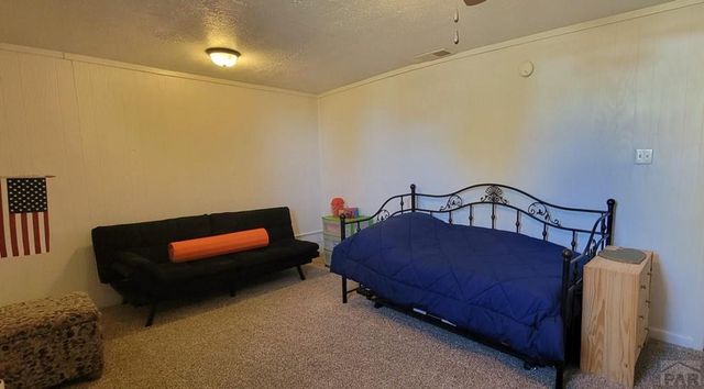 221 E Cedar St, Walsenburg, CO 81089