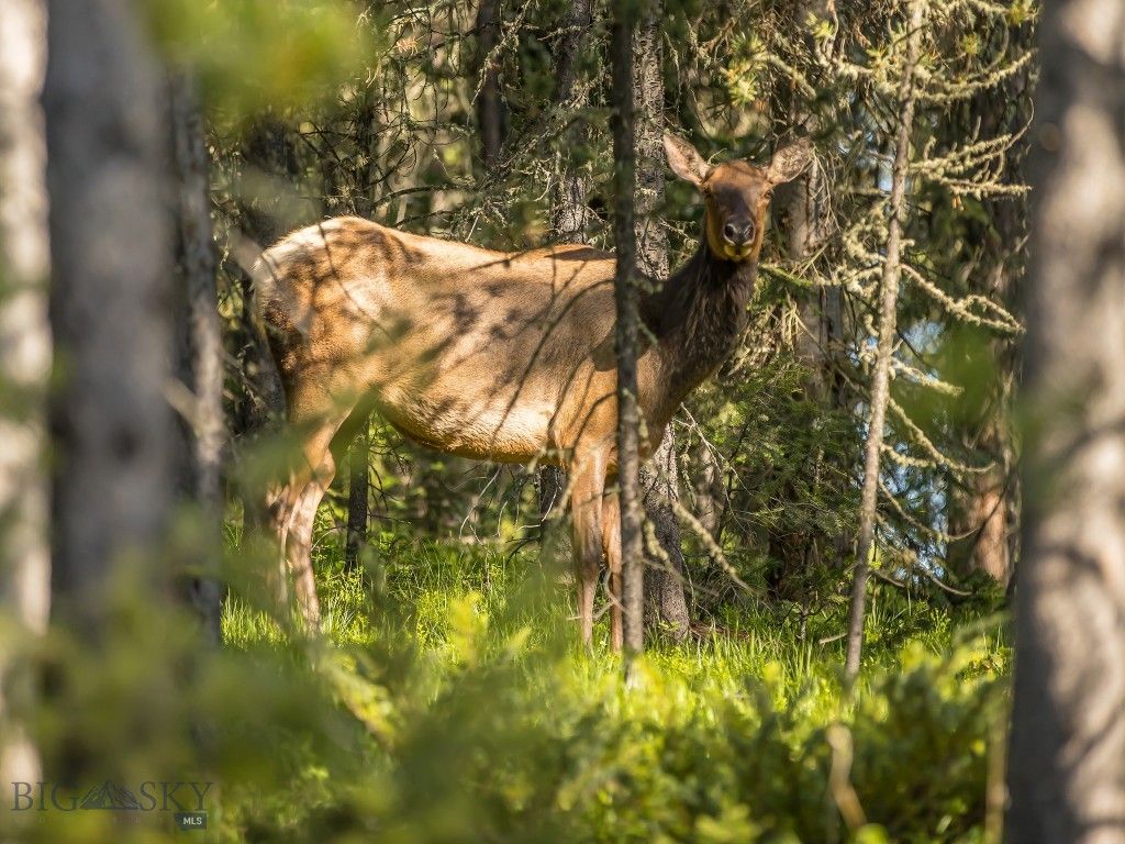 725 Sandhill Road, Big Sky, MT 59716 photo 64