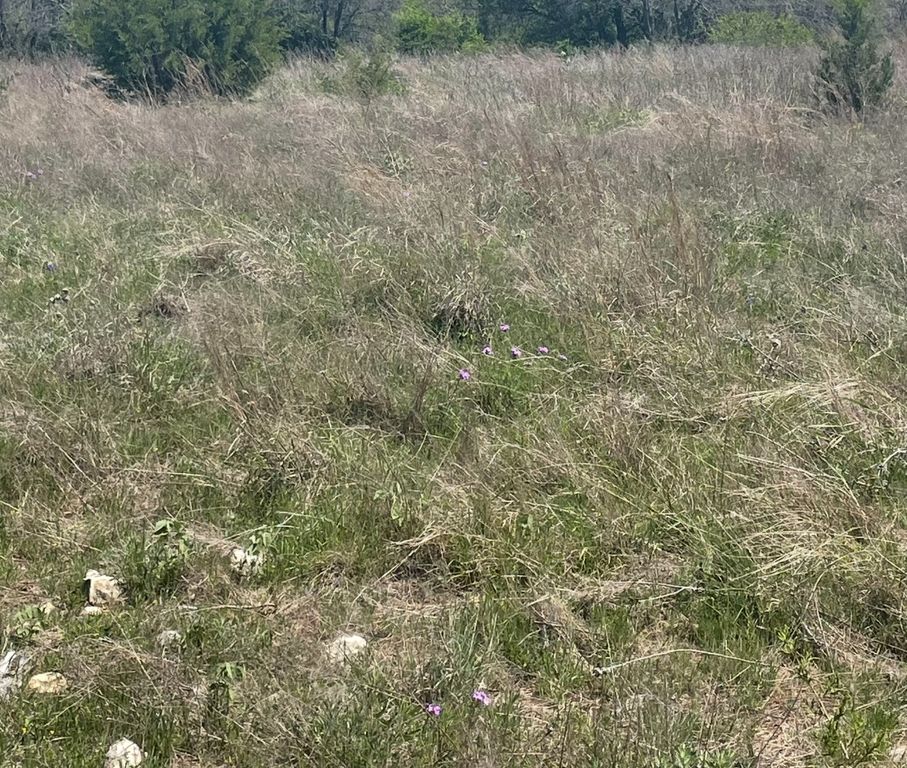 325 Fm 1566 W, Wolfe City, TX 75496
