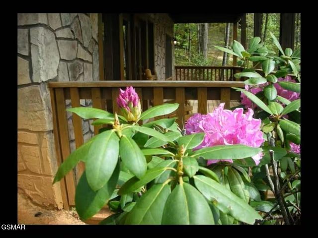 749 Yona Trail Way, Gatlinburg, TN 37738