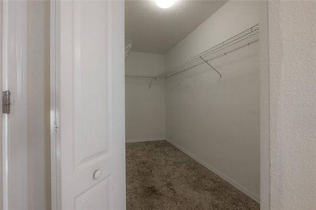 12356 CRICKLEWOOD DRIVE, Spring Hill, FL 34610