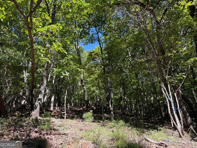 0 Moss Patch Trail, Jasper, GA 30143