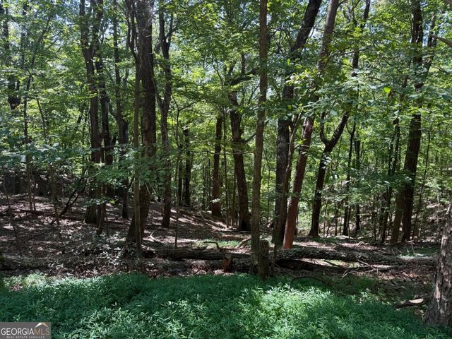 0 Moss Patch Trail, Jasper, GA 30143