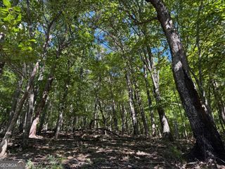 0 Moss Patch Trail, Jasper, GA 30143