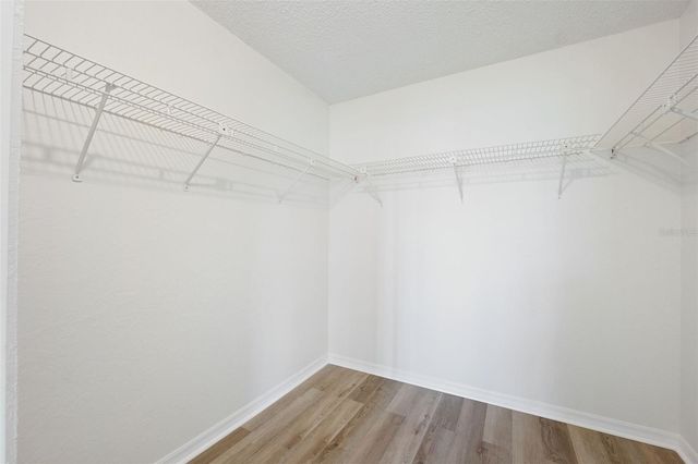 121 LINDSAY LANE 31, Oldsmar, FL 34677