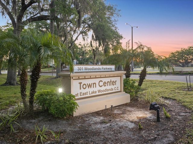 121 LINDSAY LANE 31, Oldsmar, FL 34677