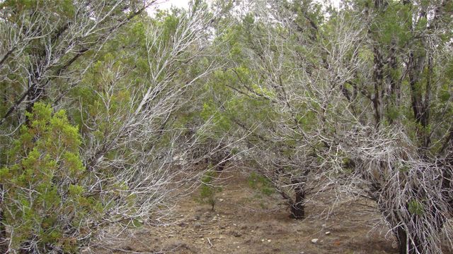 7700 Bar-K Ranch RD, Lago Vista, TX 78645