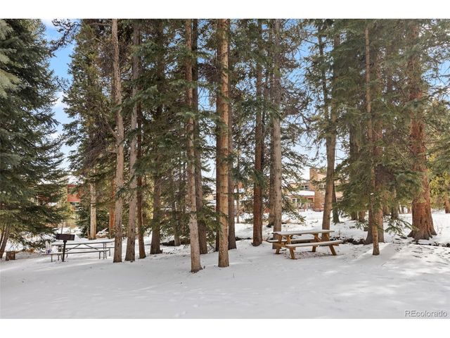 120 Sawmill Rd 205, Breckenridge, CO 80424