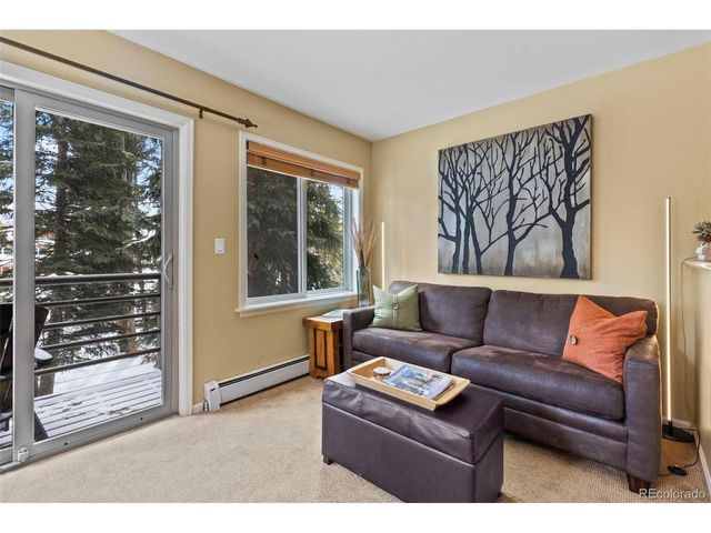 120 Sawmill Rd 205, Breckenridge, CO 80424