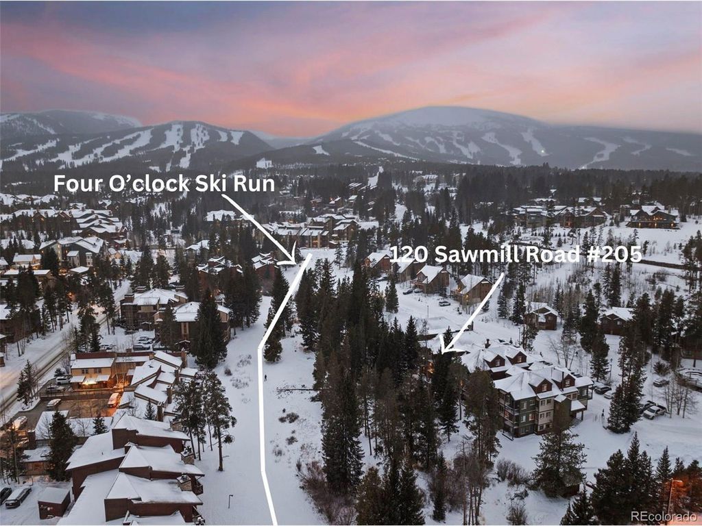 120 Sawmill Rd 205, Breckenridge, CO 80424