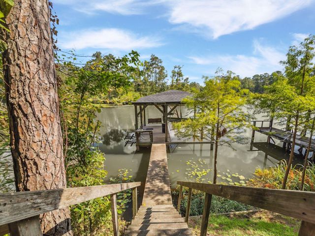 25814 Water Ridge Drive, Houston, TX 77336