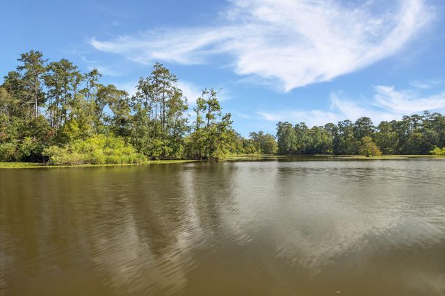 25814 Water Ridge Drive, Houston, TX 77336