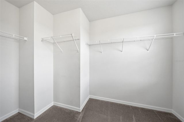 11009 GREEN HARVEST DRIVE, Riverview, FL 33578