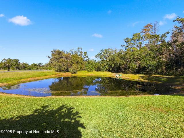 23015 Mayfair Road, Land O'lakes, FL 34639