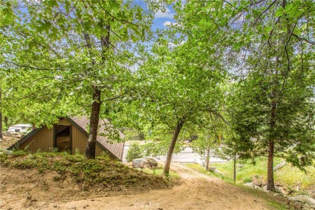 6429 Cedar Avenue, Angelus Oaks, CA 92305