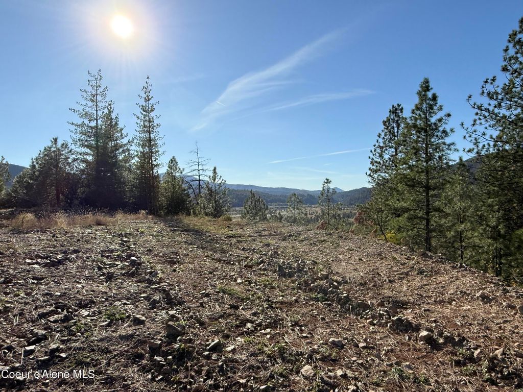 211 S Fork Ridge Rd, Smelterville, ID 83868 photo 4