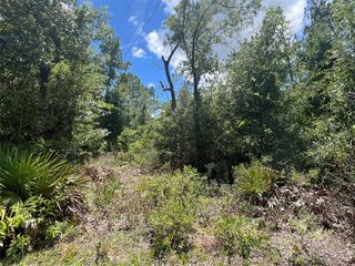 000 NE 822ND STREET, Old Town, FL 32680