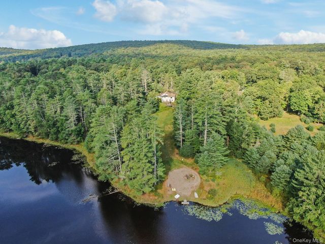 86 Beaver Brook Road, Call Listing Agent, NY 12764
