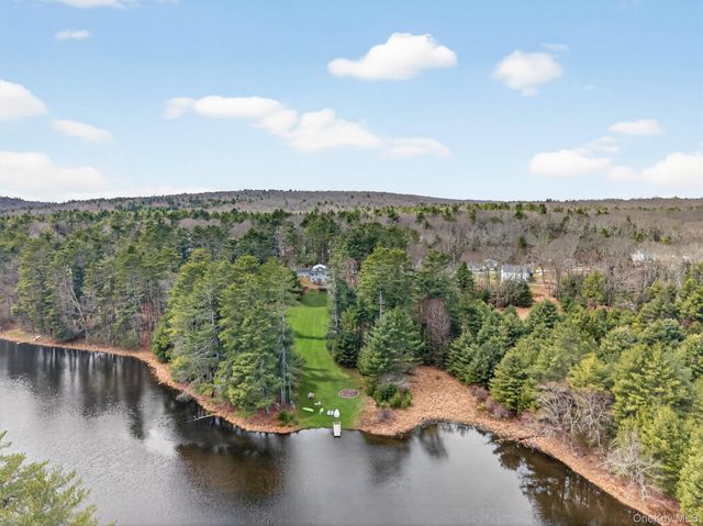 86 Beaver Brook Road, Call Listing Agent, NY 12764