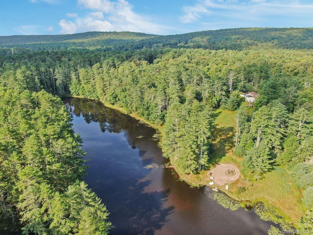 86 Beaver Brook Road, Call Listing Agent, NY 12764