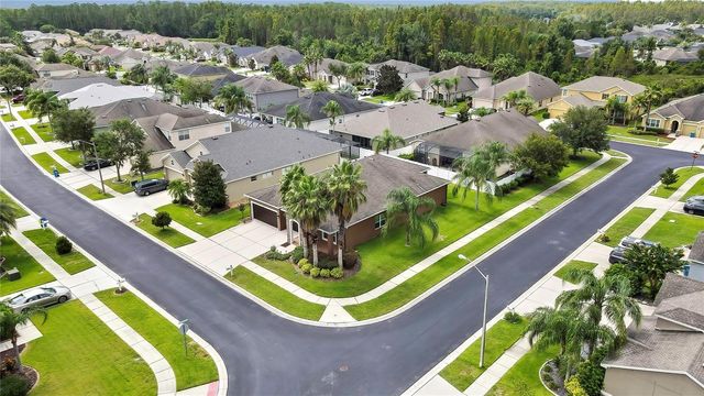 31518 BEARDED OAK DRIVE, Wesley Chapel, FL 33543