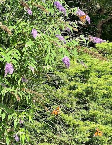 76 Business St, Boston, MA 02136