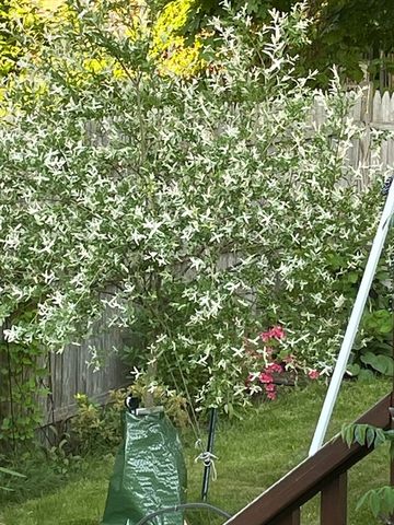 76 Business St, Boston, MA 02136