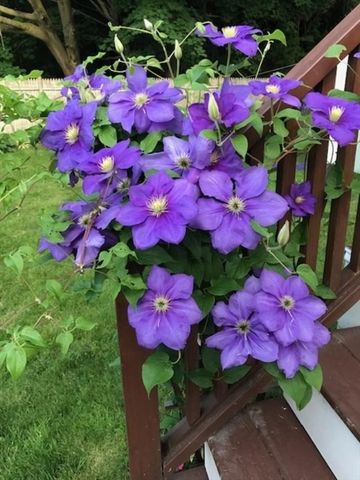 76 Business St, Boston, MA 02136