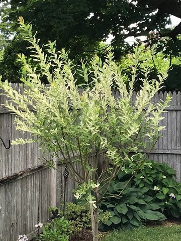 76 Business St, Boston, MA 02136