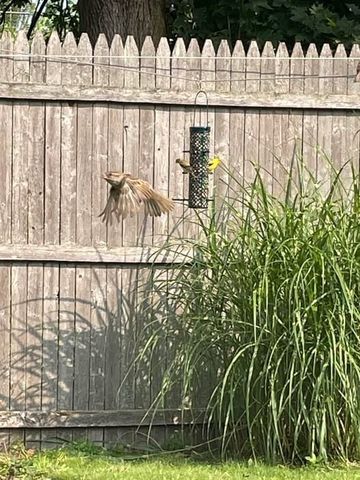 76 Business St, Boston, MA 02136