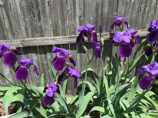 76 Business St, Boston, MA 02136