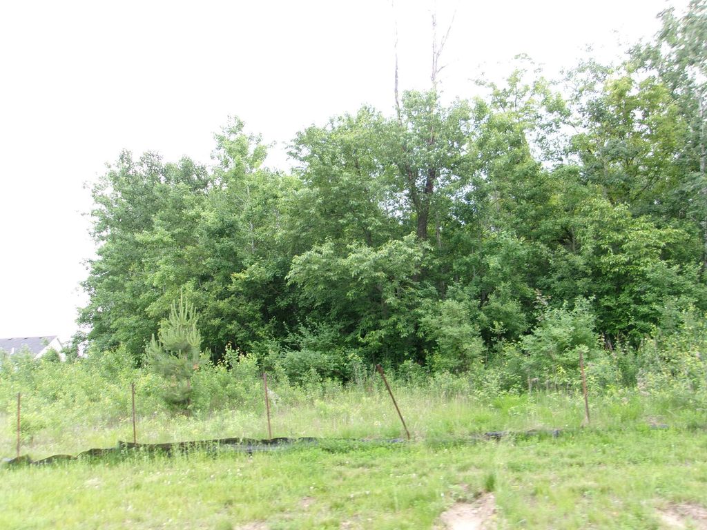 17740 Lincoln Street NW, Elk River, MN 55330