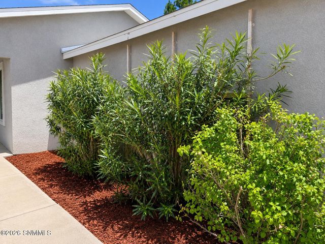 3801 Tiger Eye Drive, Las Cruces, NM 88012
