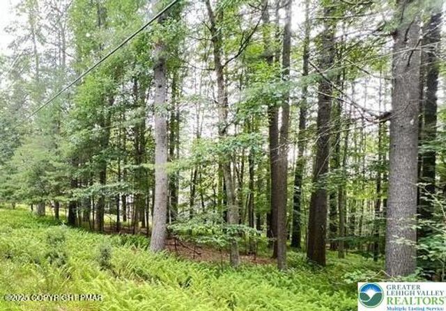 0 Cranberry Drive, Lehman Twp, PA 18324