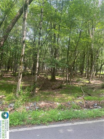 0 Cranberry Drive, Lehman Twp, PA 18324