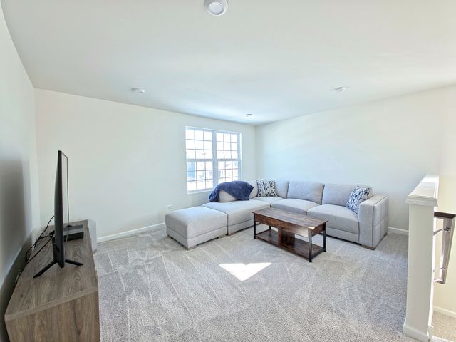 12420 Eileen Street, Lemont, IL 60439