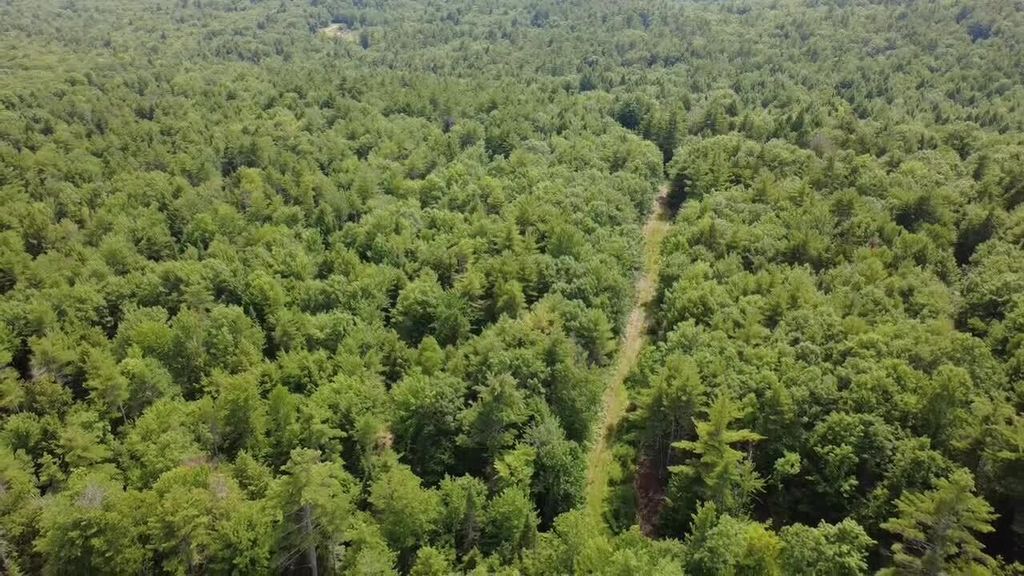 R03-054M/K Off Bean Road, Otisfield, ME 04270 — photo 2