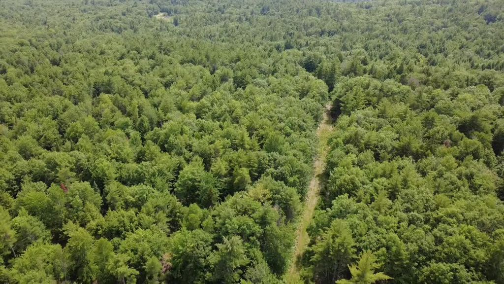 R03-054M/K Off Bean Road, Otisfield, ME 04270 — photo 3