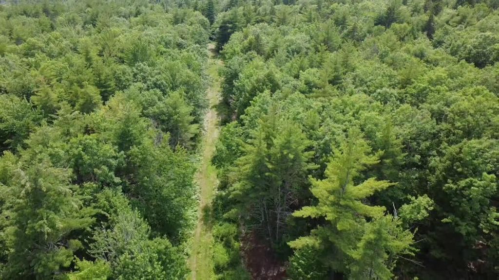 R03-054M/K Off Bean Road, Otisfield, ME 04270 — photo 4
