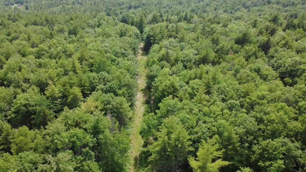 R03-054M/K Off Bean Road, Otisfield, ME 04270 — photo 5