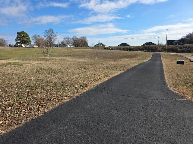 100 Ladybug Ln, Bethpage, TN 37022