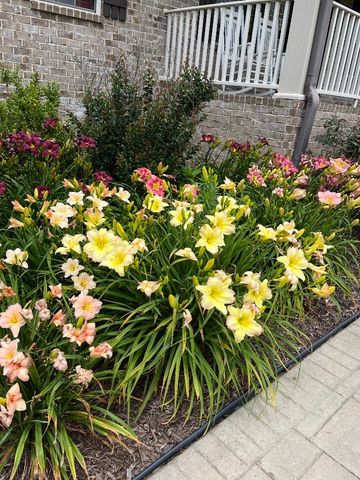 100 Ladybug Ln, Bethpage, TN 37022