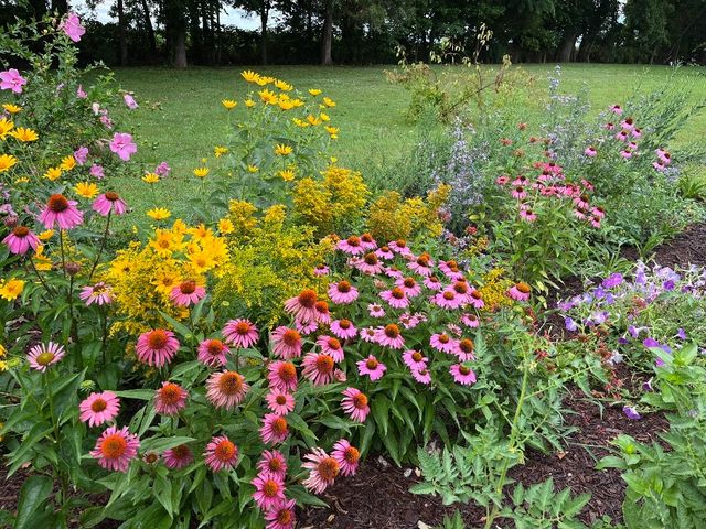 100 Ladybug Ln, Bethpage, TN 37022