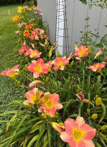 100 Ladybug Ln, Bethpage, TN 37022