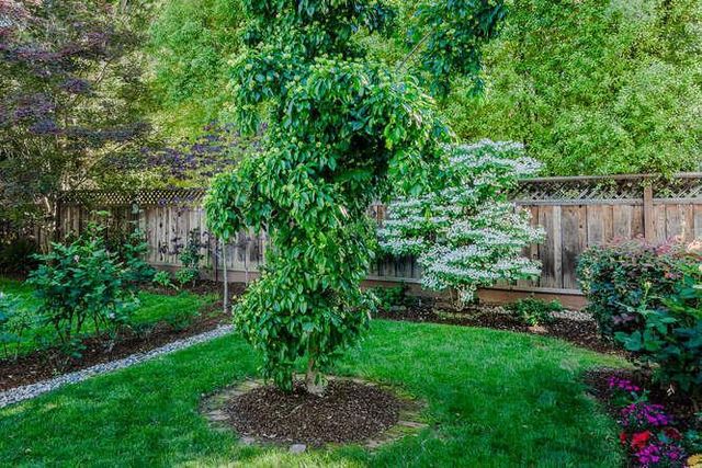 229 Aragon Boulevard, San Mateo, CA 94402