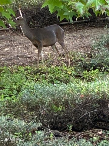 780 Covewood Street, Oak Park, CA 91377